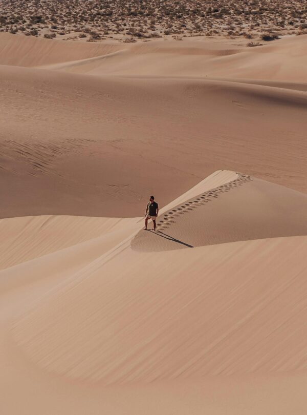 pexels-george-chambers-413080139-15356573