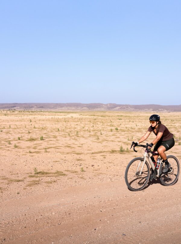 pexels-hugosykes-30005520