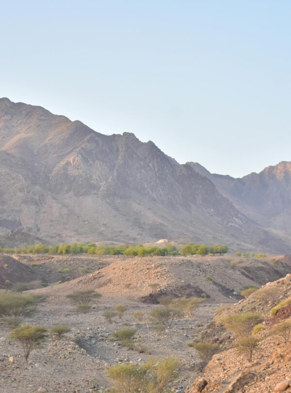 pexels-yokokz-cordova-5304980-11674127